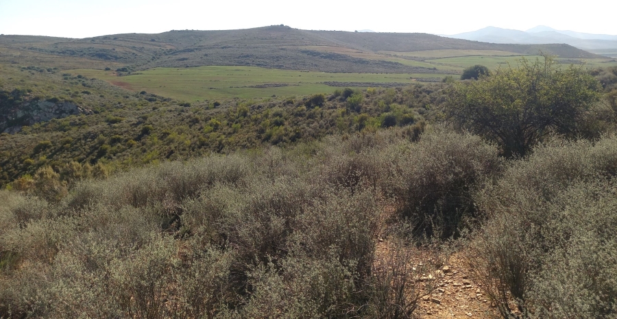 Commercial Property for Sale in George Rural Western Cape